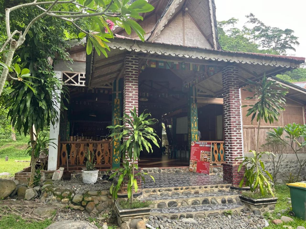 Pongo Guest House & Jungle Trekking Bukit Lawang Eksteriør bilde