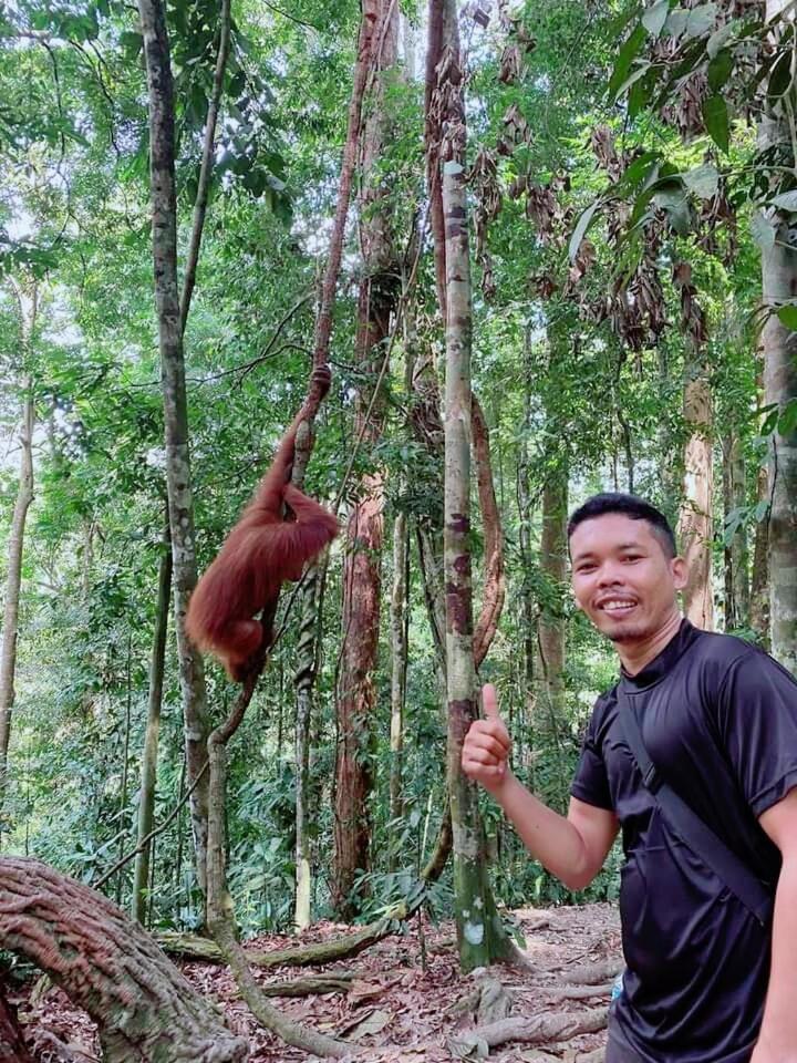 Pongo Guest House & Jungle Trekking Bukit Lawang Eksteriør bilde
