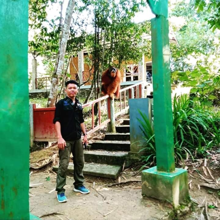 Pongo Guest House & Jungle Trekking Bukit Lawang Eksteriør bilde