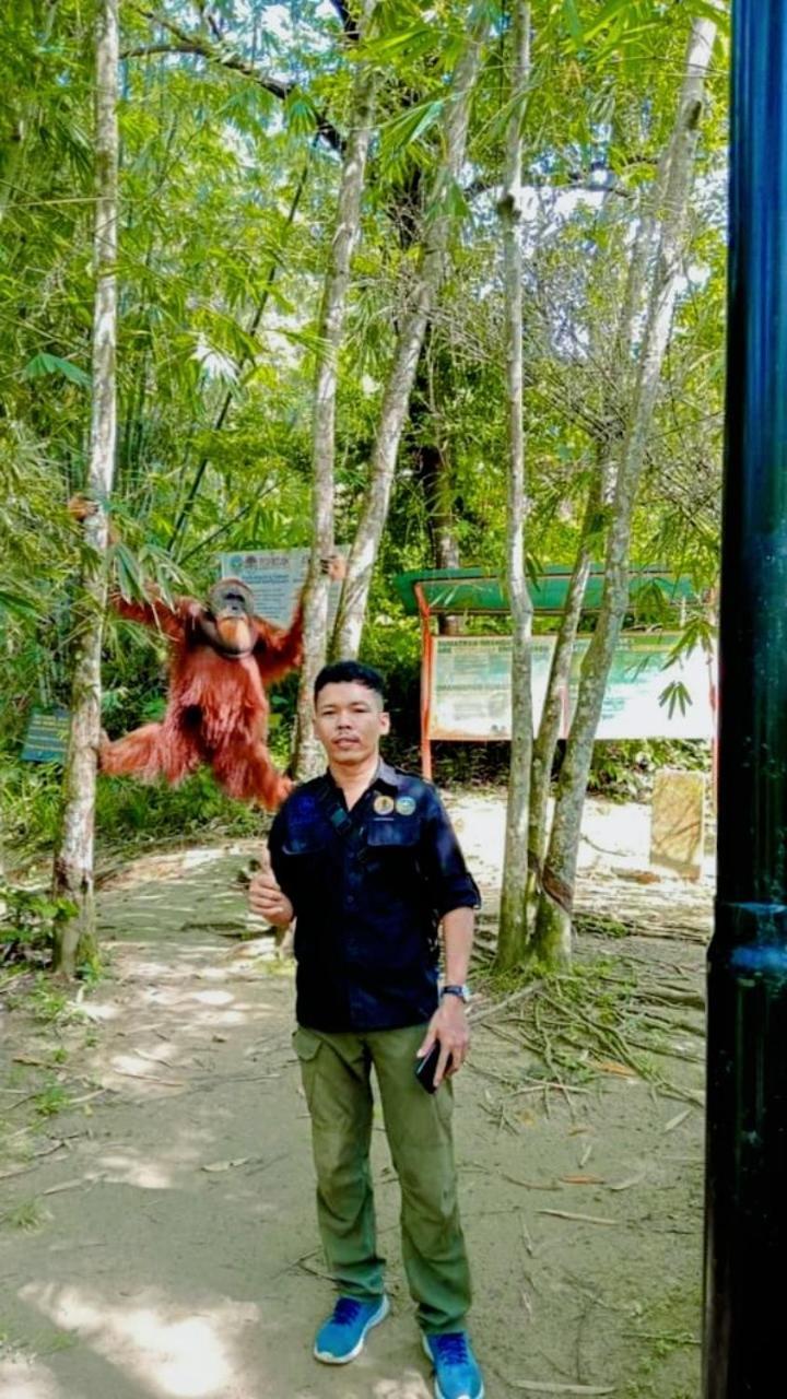 Pongo Guest House & Jungle Trekking Bukit Lawang Eksteriør bilde