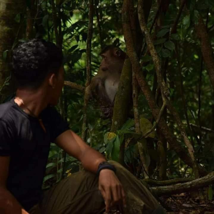 Pongo Guest House & Jungle Trekking Bukit Lawang Eksteriør bilde