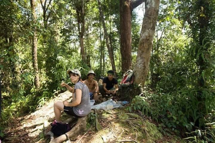 Pongo Guest House & Jungle Trekking Bukit Lawang Eksteriør bilde
