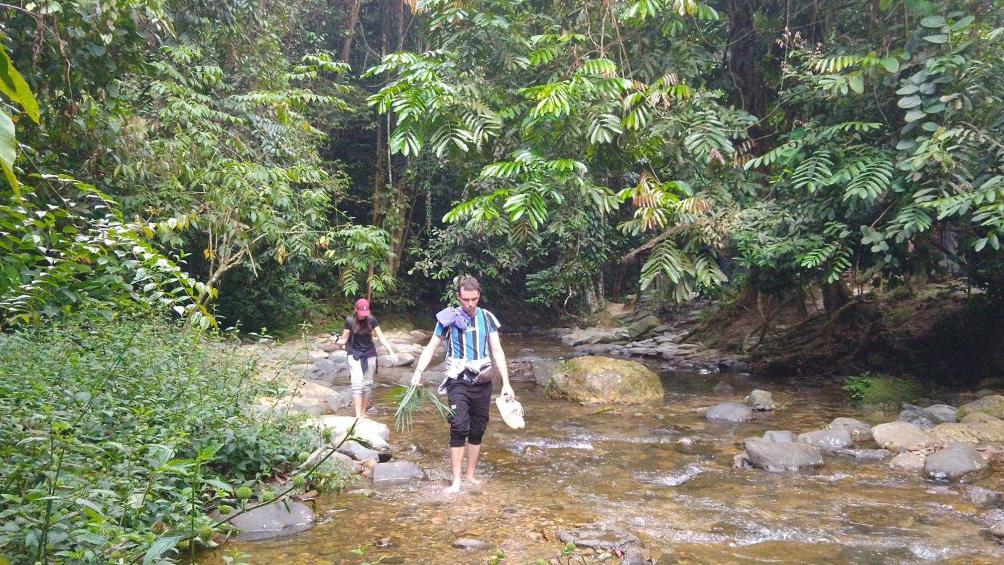 Pongo Guest House & Jungle Trekking Bukit Lawang Eksteriør bilde