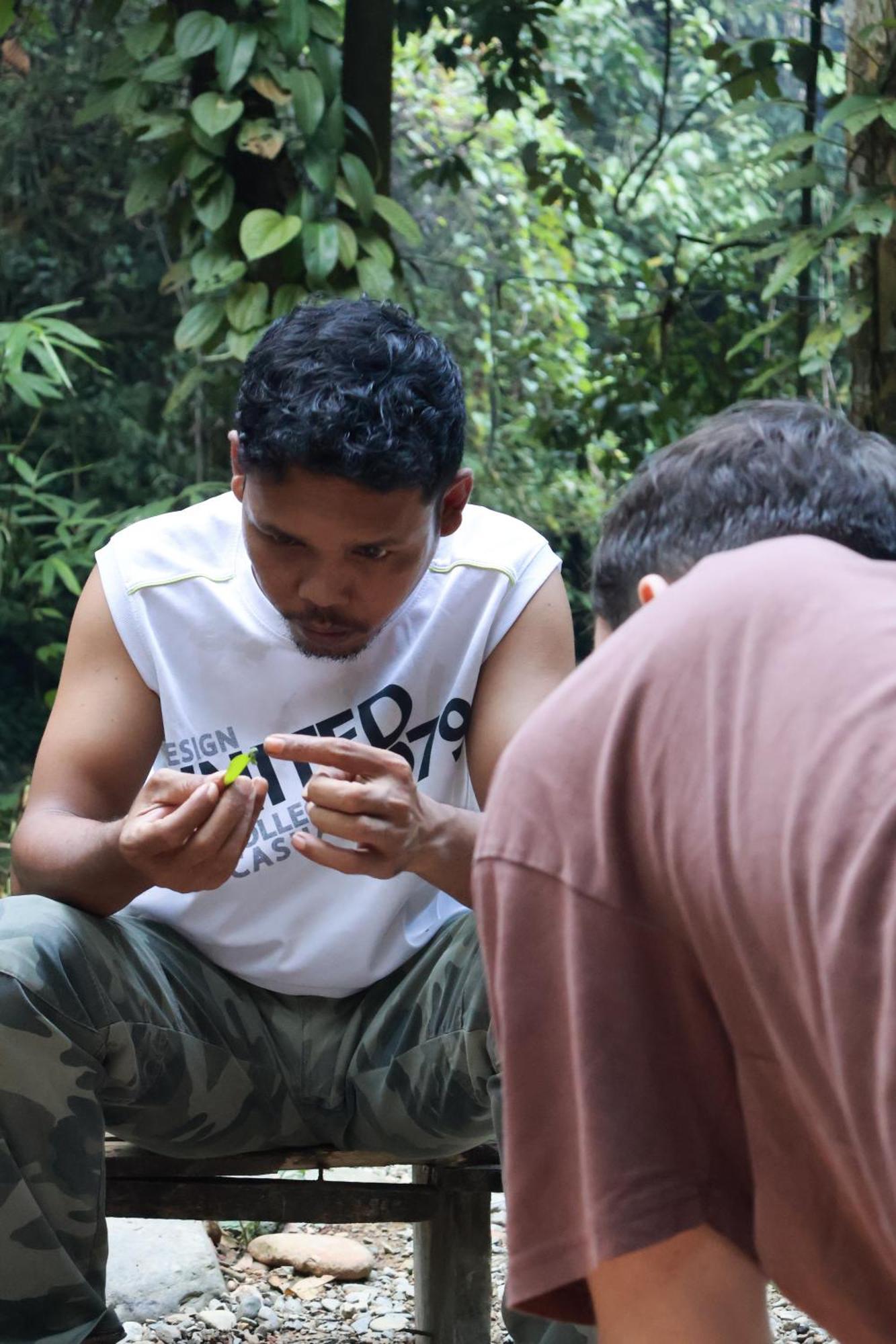 Pongo Guest House & Jungle Trekking Bukit Lawang Eksteriør bilde